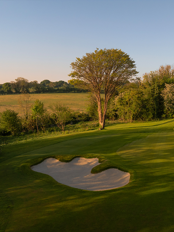 Coronation Course - Image 4