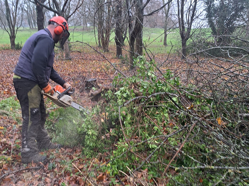 Greenkeepers cutting trees 2