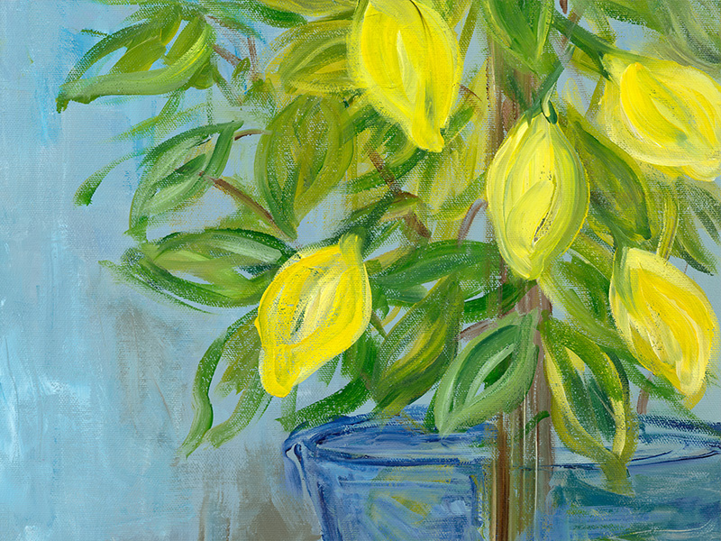 15. Citrus Season gallery