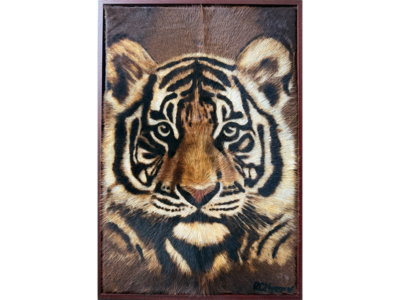 Tiger fur Gallery