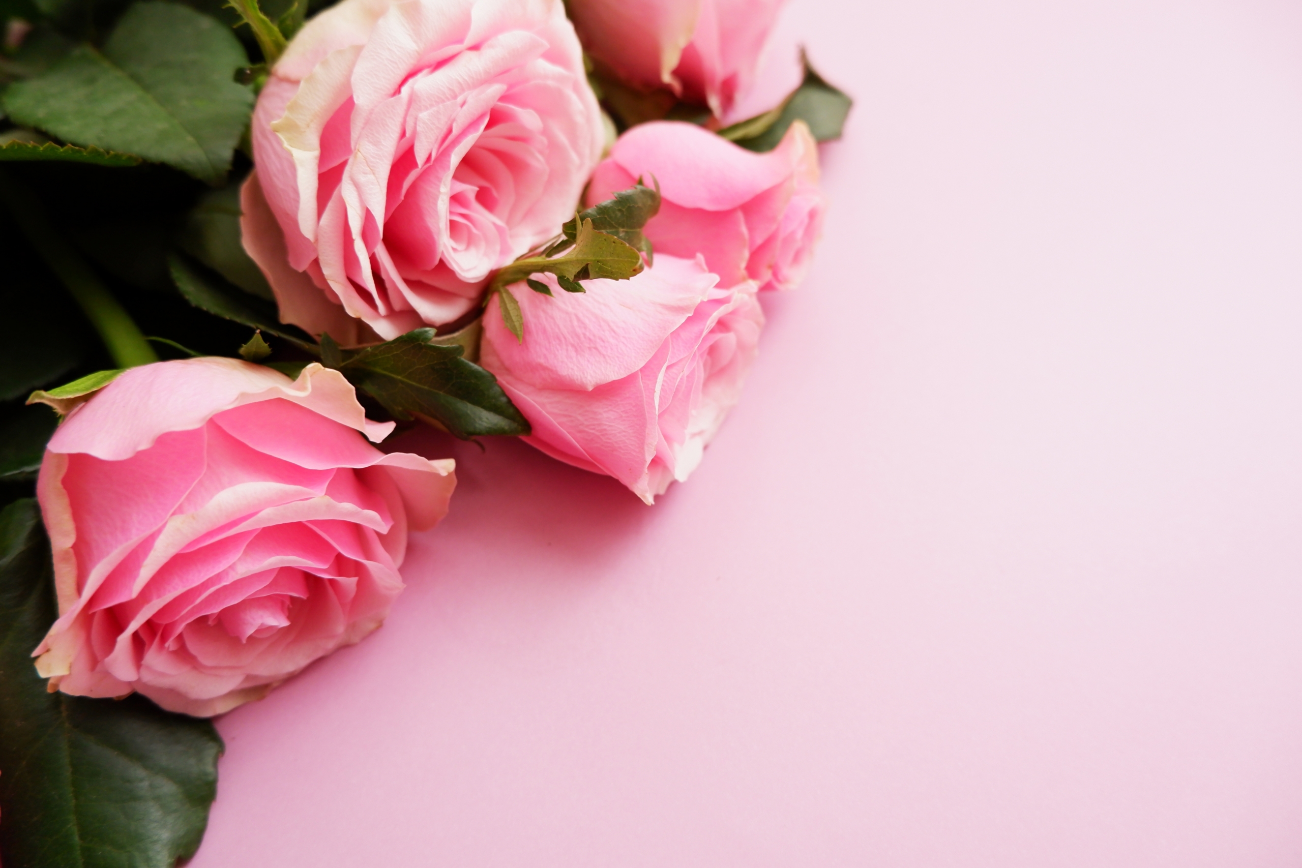 Coronation Course - Image 9