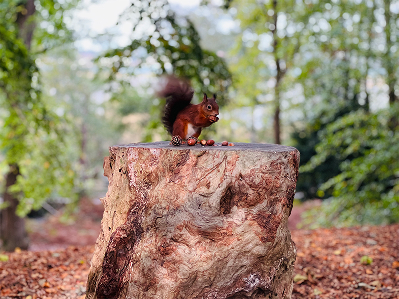 04. Photography comp – Events – 800 x 600