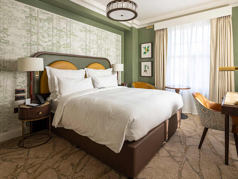 Suite WP 2 800×600