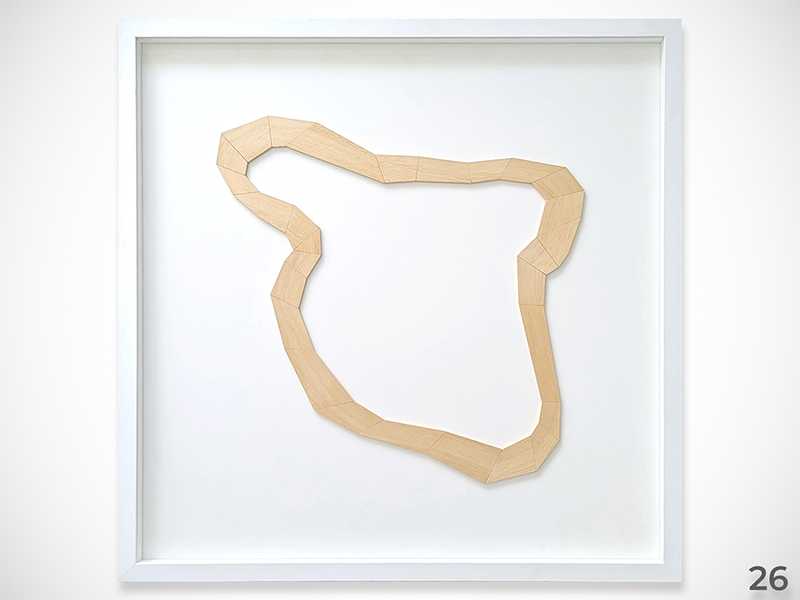 Ambrose_RAC26_26_Goodwood_wood_800x600