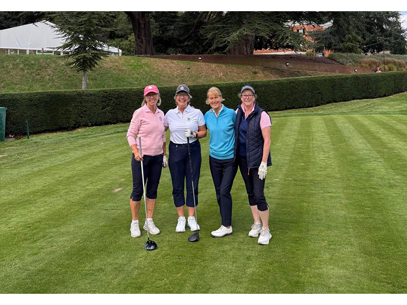 Gallery Ladies Team 11