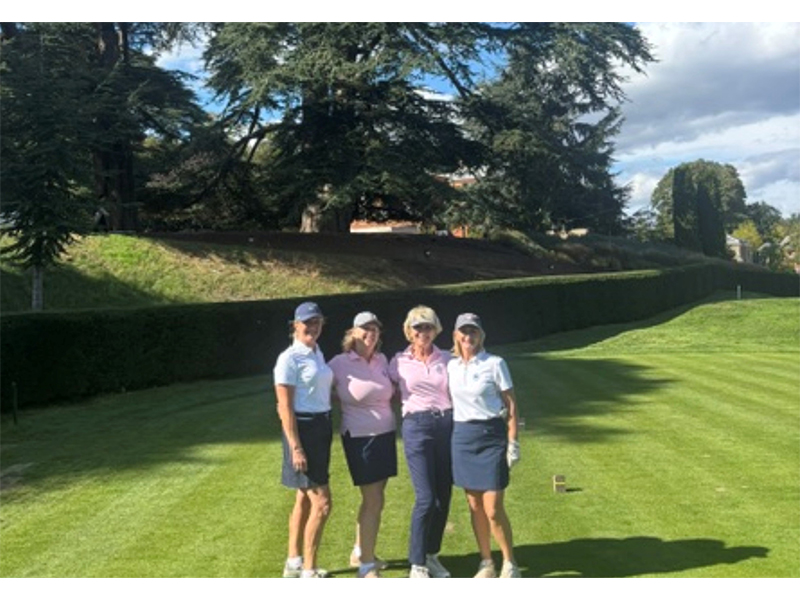 Gallery Ladies Team 7