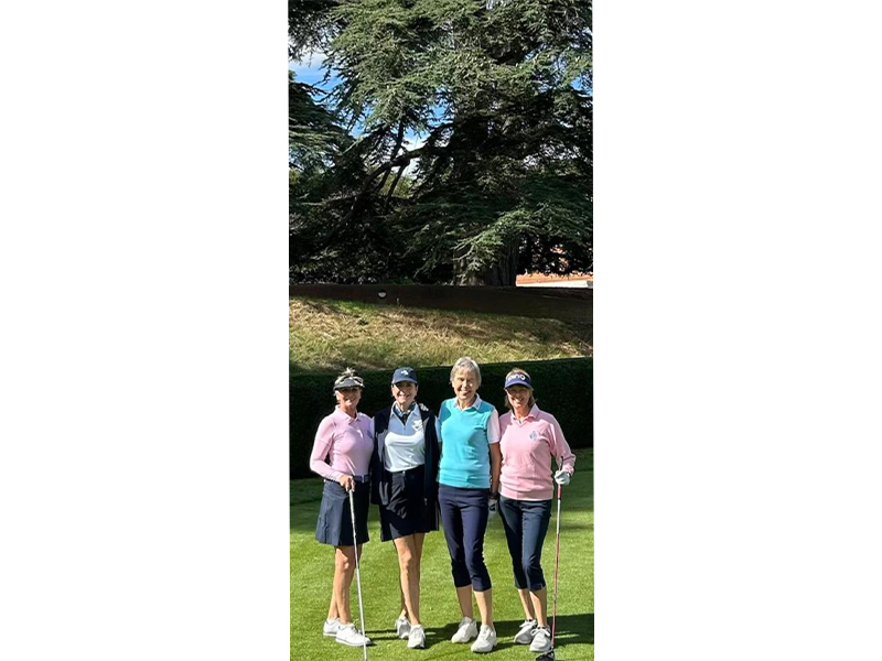 Gallery Ladies Team 9